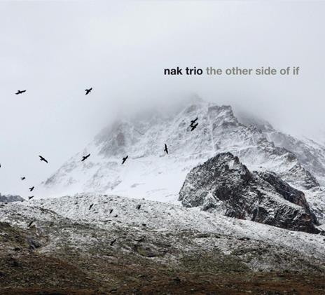 Other Side Of If - CD Audio di Nak Trio