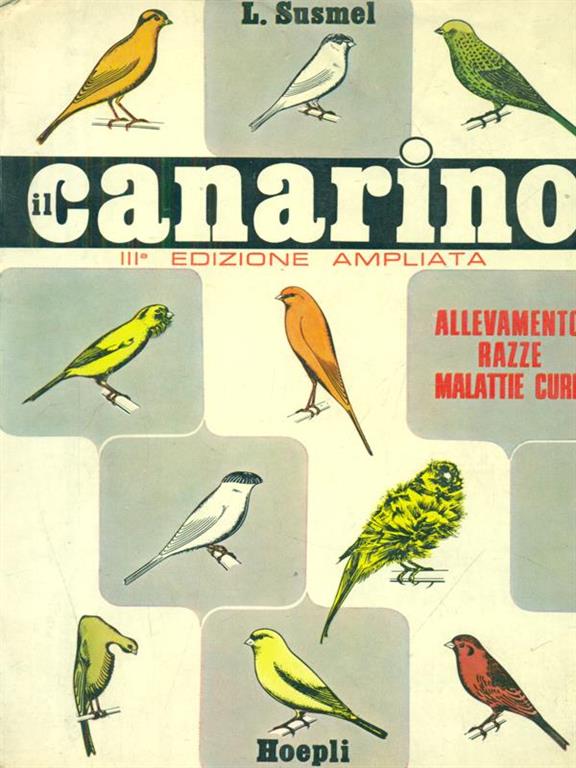 LIBRACCIO VINTAGE