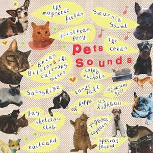 Vinile Pets Sounds 
