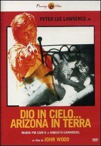 Dio in cielo... Arizona in Terra di John Wood - DVD