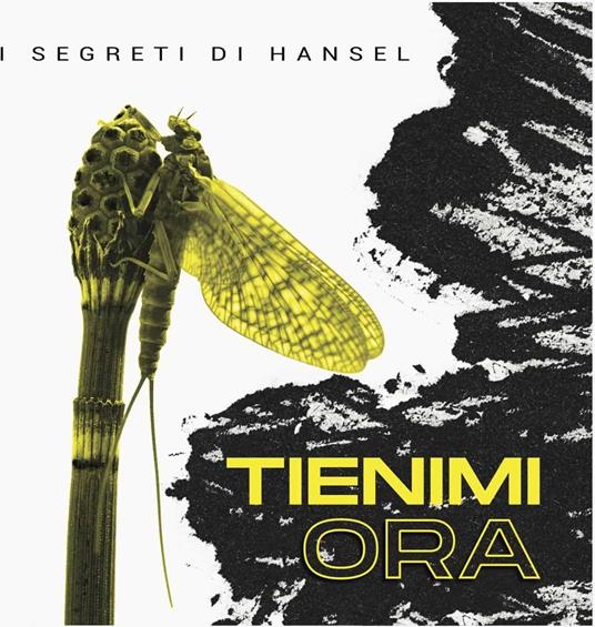 Tienimi Ora - CD Audio di I Segreti di Hansel