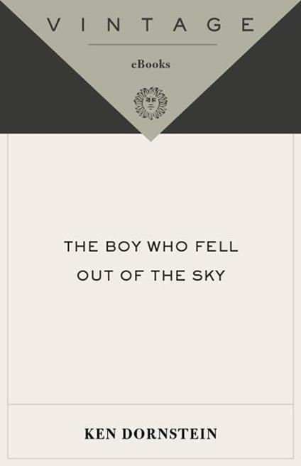The Boy Who Fell Out of the Sky
