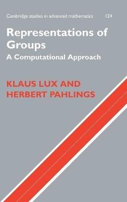 Representations of Groups: A Computational Approach - Klaus Lux,Herbert Pahlings - cover