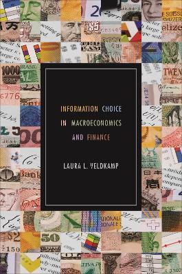 Information Choice in Macroeconomics and Finance - Laura L. Veldkamp - cover