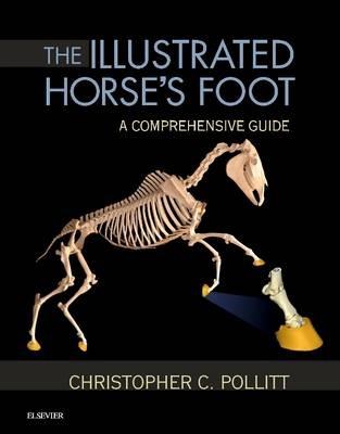 The Illustrated Horse's Foot: A comprehensive guide - Christopher C. Pollitt - cover