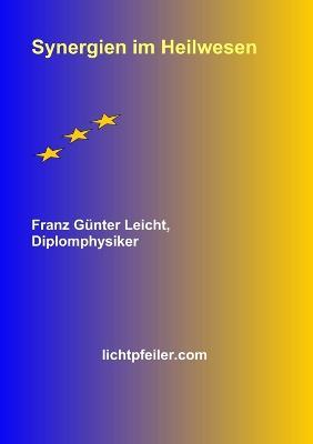 Synergien Im Heilwesen - Franz Guenter Leicht - cover