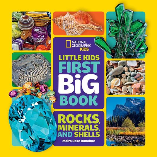 National Geographic Little Kids First Big Book of Rocks, Minerals & Shells - National Geographic Kids,Moira Rose Donohue - ebook
