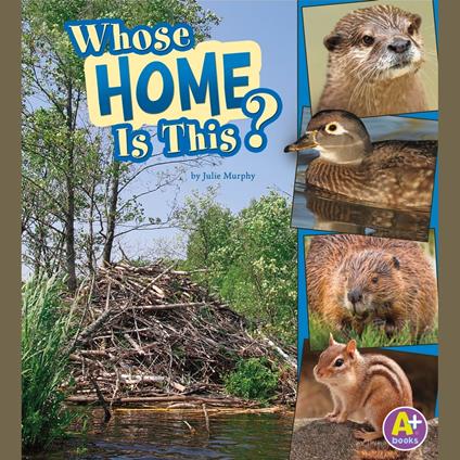 Whose Home Is This?