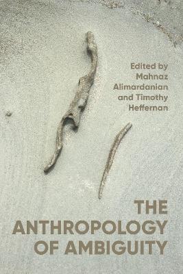 The Anthropology of Ambiguity - cover