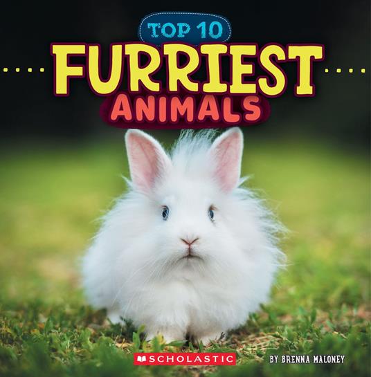 Furriest Animals (Wild World: Top 10) - Brenna Maloney - ebook