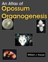 An Atlas of Opossum Organogenesis: Opossum Development - William J Krause - cover