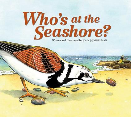 Who's at the Seashore? - John Himmelman - ebook
