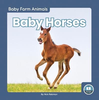 Baby Horses - Nick Rebman - cover