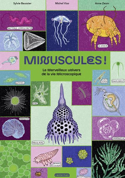 Minuscules ! Le merveilleux univers de la vie microscopique - Sylvie Baussier,Michel Viso,Anne Zeum - ebook