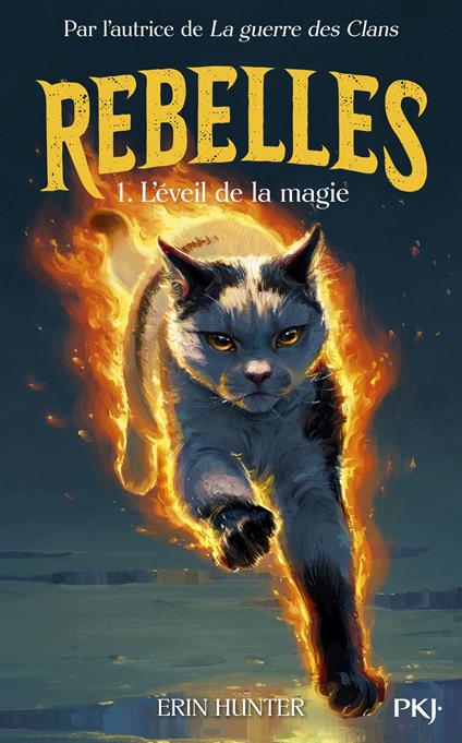 Rebelles - Tome 01 : La magie s'éveille - Erin Hunter,Frédérique FRAISSE - ebook