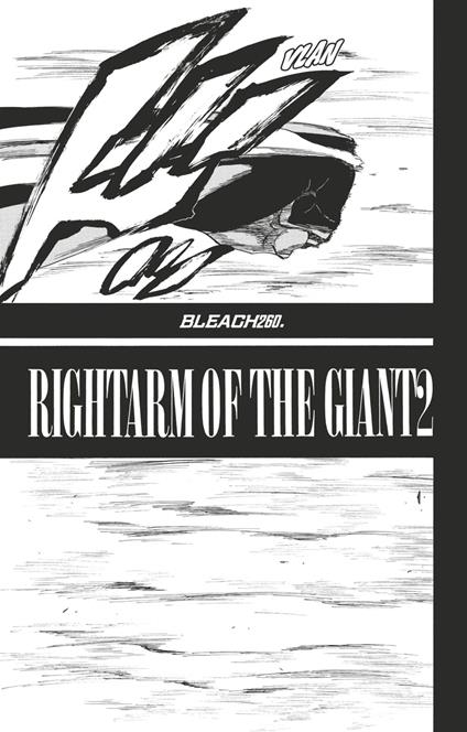 Bleach - T29 - Chapitre 260