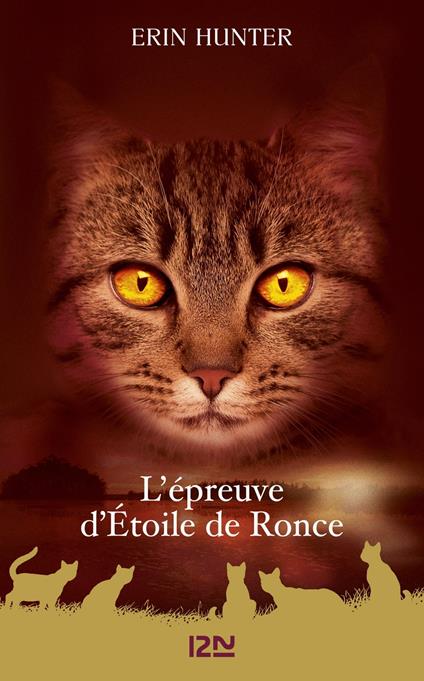 La guerre des Clans - L'épreuve d'Etoile de Ronce - Hors-série - Erin Hunter,Aude CARLIER - ebook