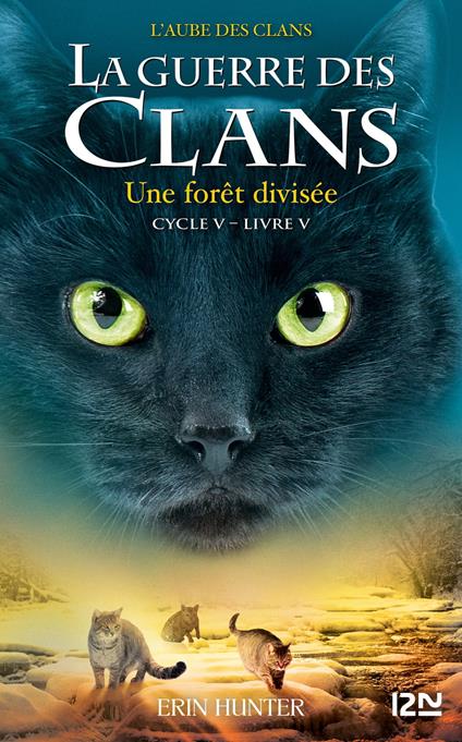 La guerre des clans Cycle V - tome 5 Une forêt divisée - Erin Hunter,Aude CARLIER - ebook