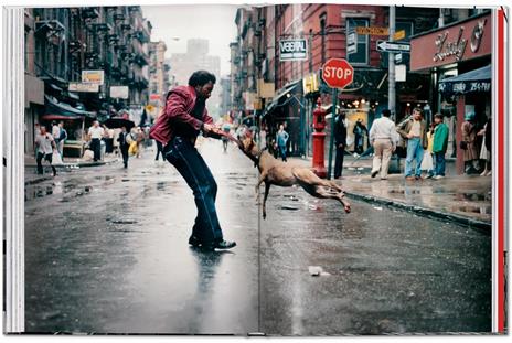 New York. Portrait of a city. Ediz. inglese - Reuel Golden - 6