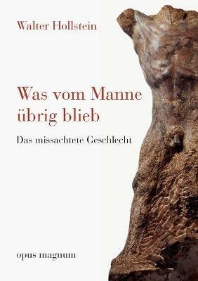 Was vom Manne übrig blieb: Das missachtete Geschlecht - Walter Hollstein - cover