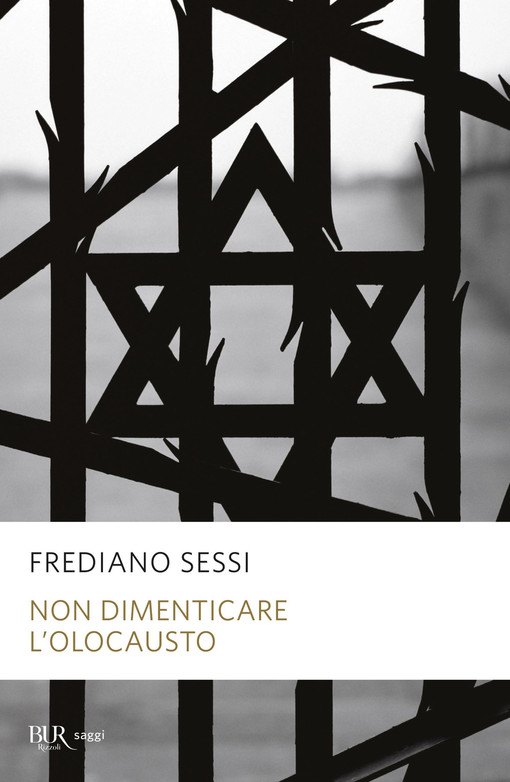 Libraccio