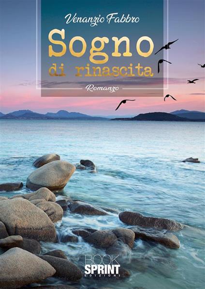 Sogno di rinascita - Fabbro Venanzio - ebook