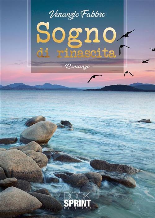 Sogno di rinascita - Fabbro Venanzio - ebook