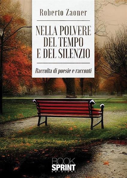 Nella polvere del tempo e del silenzio - Roberto Zaoner - copertina