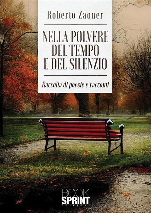 Nella polvere del tempo e del silenzio - Roberto Zaoner - copertina