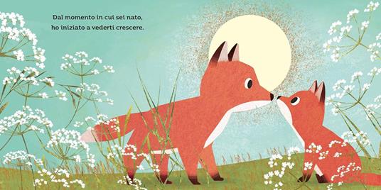Fratelli per sempre. Ediz. a colori - Susannah Shane,Britta Teckentrup - 2