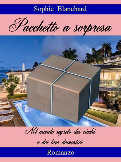 Pacchetto a sorpresa. Nel mondo segreto dei ricchi e dei loro domestici - Sophie Blanchard - ebook