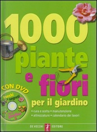 Libraccio