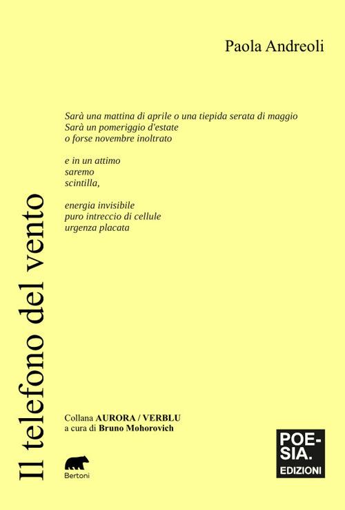 Il telefono del vento - Paola Andreoli - copertina