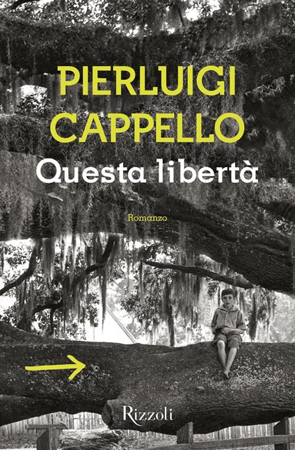 Questa libertà - Pierluigi Cappello - ebook