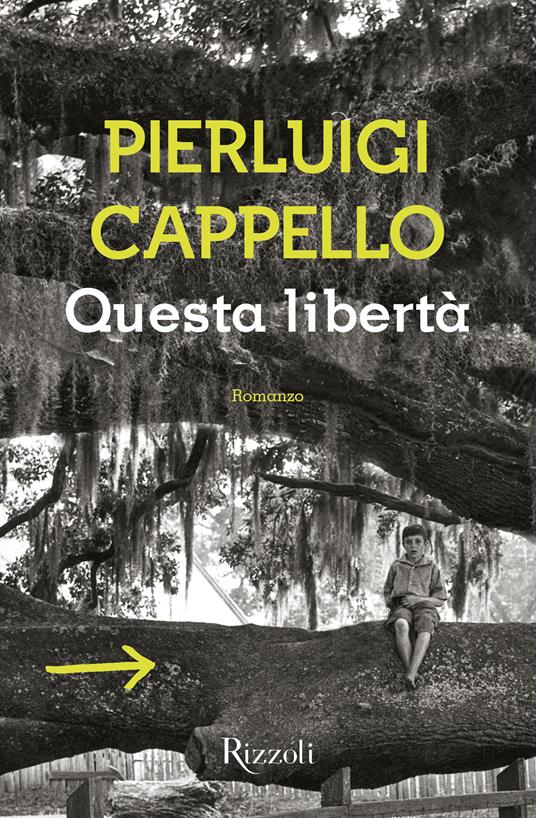 Questa libertà - Pierluigi Cappello - ebook