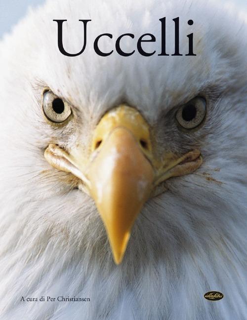 Uccelli - copertina