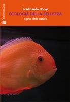 Nome prodotto