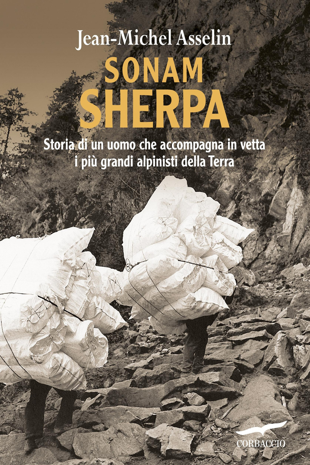 Libraccio