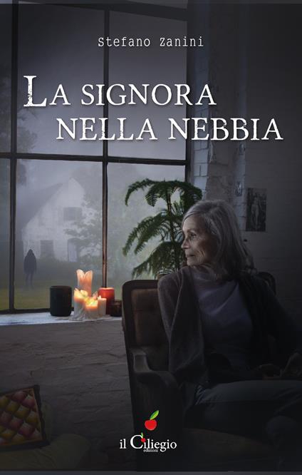 La signora nella nebbia - Stefano Zanini - copertina