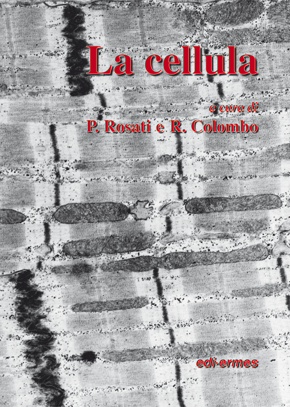 Libreria Imagine's Book