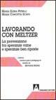 Lavorando con Meltzer. La prevenzione tra speranze vane e speranze ben riposte - M. Elena Petrilli,M. Concetta Scavo - copertina