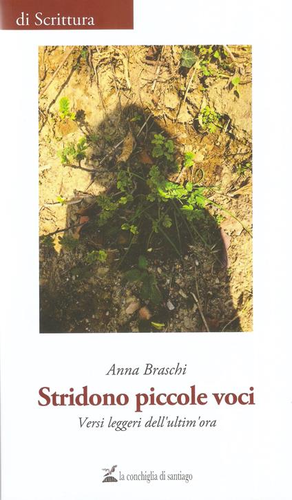 Stridono piccole voci - Anna Braschi - copertina