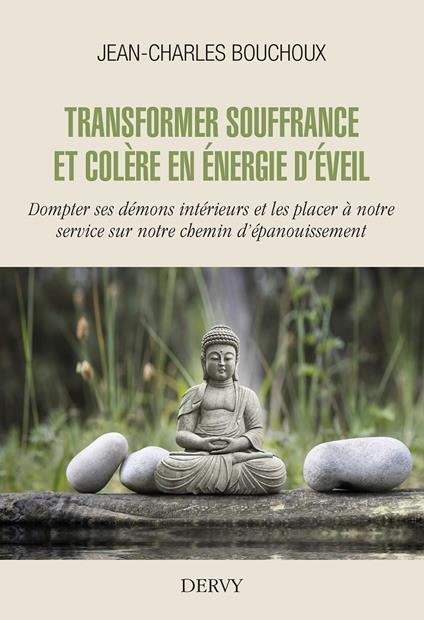 Transformer souffrance et colère en énergie d'éveil - Dompter ses démons intérieurs et les placer à notre service sur notre chemin d