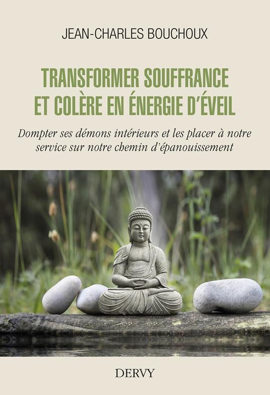 Transformer souffrance et colère en énergie d'éveil - Dompter ses démons intérieurs et les placer à notre service sur notre chemin d