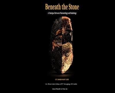 Beneath the Stone: A Dialogue between Paleontology and Radiology - Jean Claude Le Van an - cover