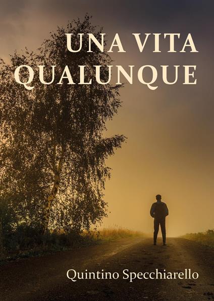 Una vita qualunque - Quintino Specchiarello - copertina