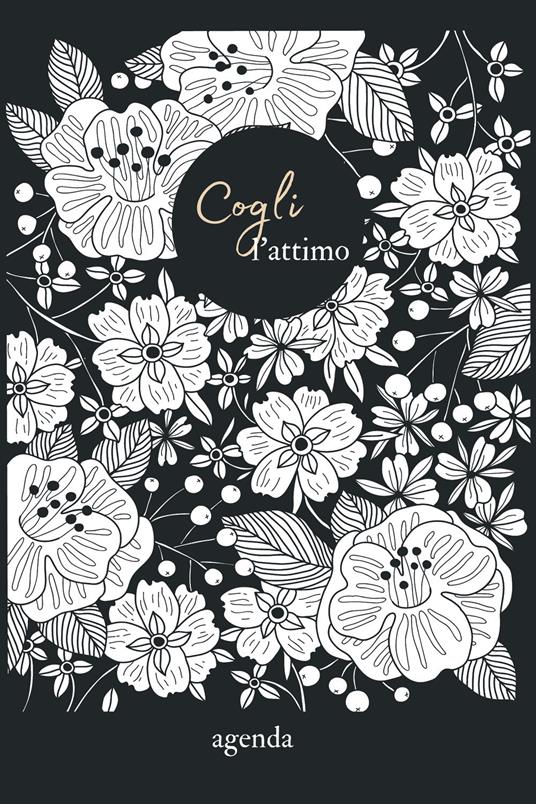 Cogli l'attimo - copertina