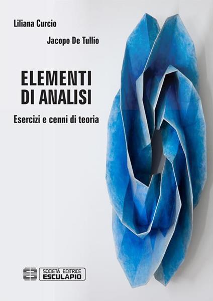 Elementi di analisi. Esercizi e cenni di teoria - Liliana Curcio,Jacopo De Tullio - ebook