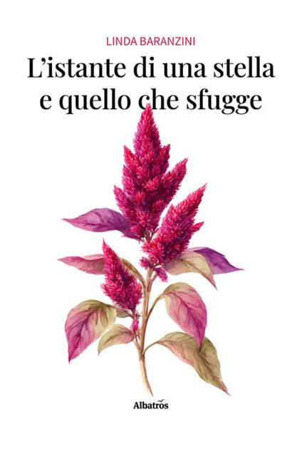 L' istante di una stella e quello che sfugge - Linda Baranzini - ebook