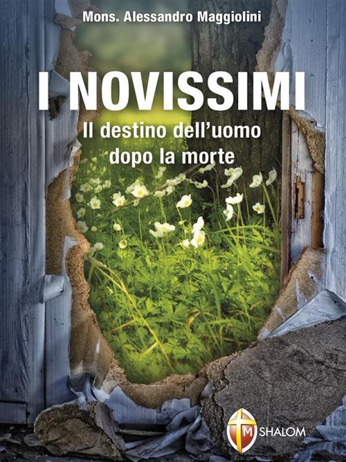 I novissimi. Il destino dell'uomo dopo la morte - Alessandro Maggiolini - ebook